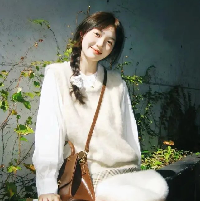 魔法科高校的优等生