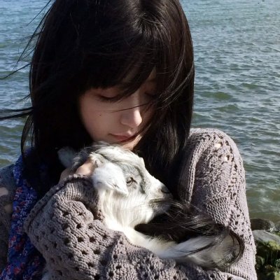 一级方程式：疾速争胜第六季